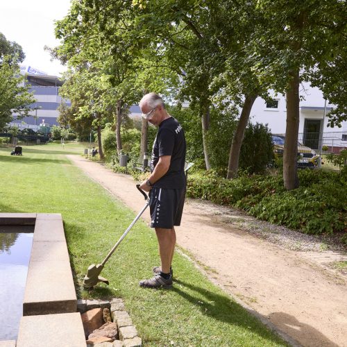 Hausmeister Rasentrimmer