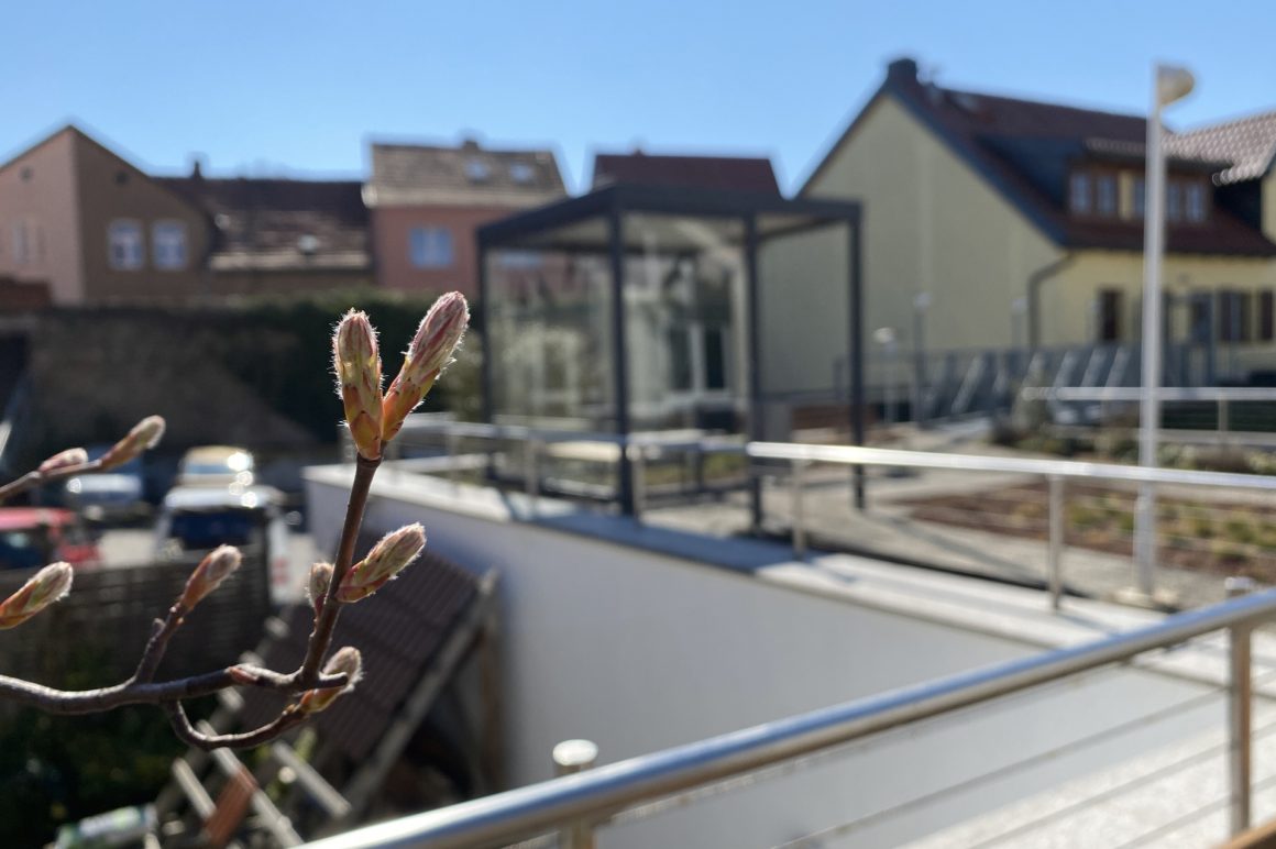 Frühlingserwachen auf unseren Dachterrassen