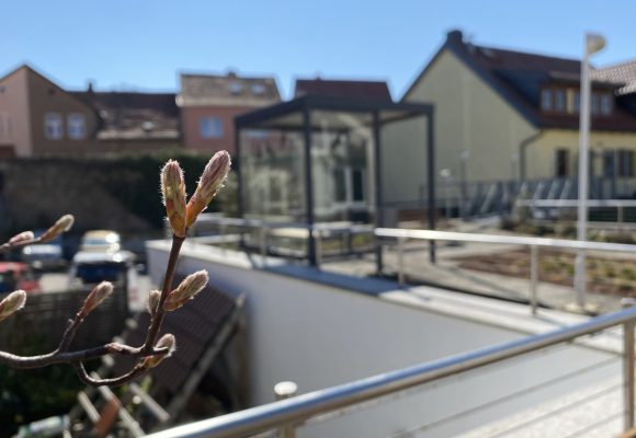 Frühlingserwachen auf unseren Dachterrassen